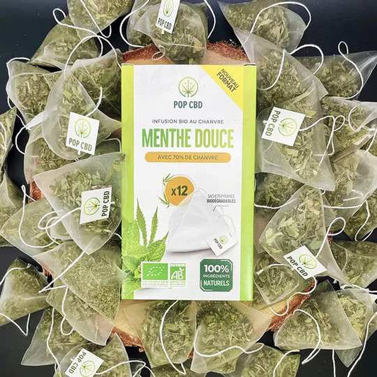 Boîte de tisane menthe douce CBD bio POP CBD avec 12 sachets pyramidaux
