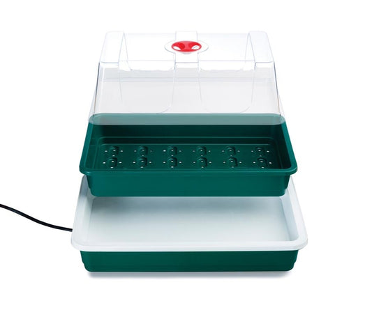Propagateur électrique supérieur avec couvercle transparent et base chauffante verte