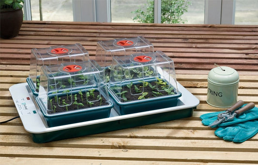 Ensemble de 4 propagateurs électriques Garland avec couvercles transparents et bacs verts