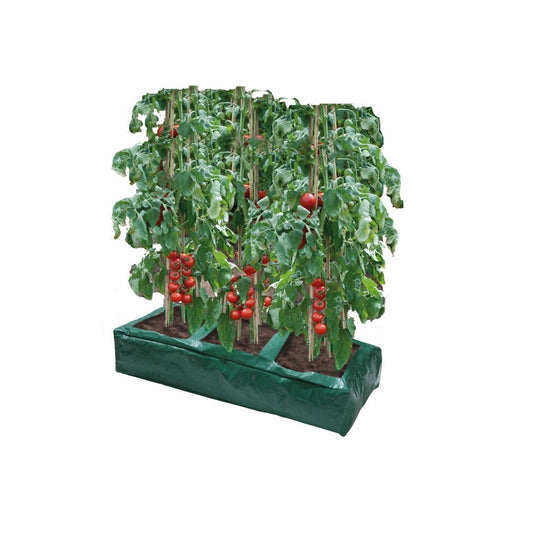 Sac de culture vert rectangulaire avec rangées de plants de tomates et substrat