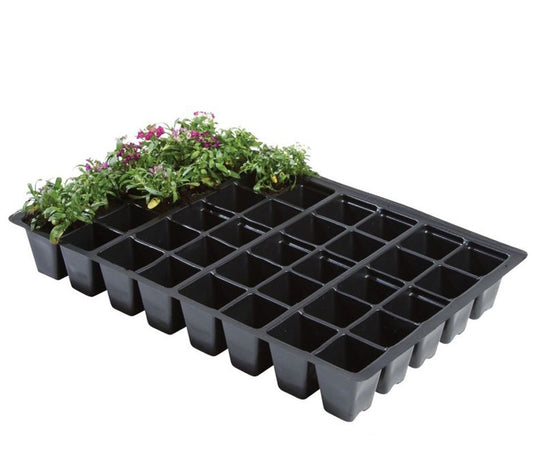 Plateau de semis en plastique noir à 40 alvéoles, avec jeunes plants