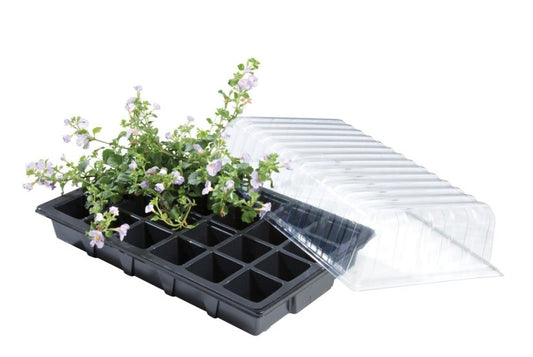 Mini serre de propagation triple pack avec plantes, bacs alvéolés noirs et couvercles
