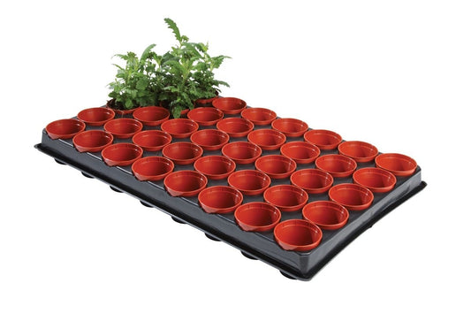 Plateau de semis avec 40 godets rouges, base noire, plants verts visibles