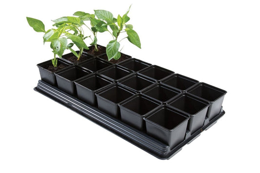 Plateau de culture rectangulaire noir avec pots carrés et plants en godets