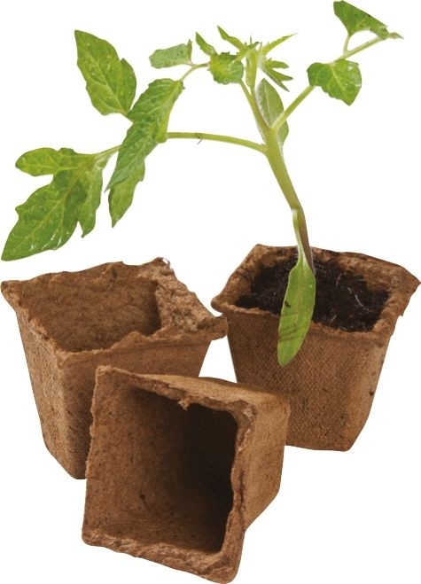 Pots carrés en fibre brune avec jeunes plants, env. 6 cm, pack de 80.