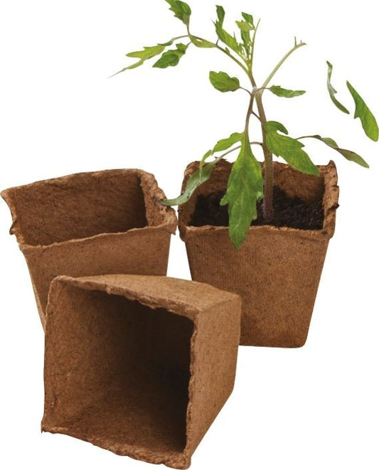 Pots carrés en fibre brune, avec une petite plante verte en pot.