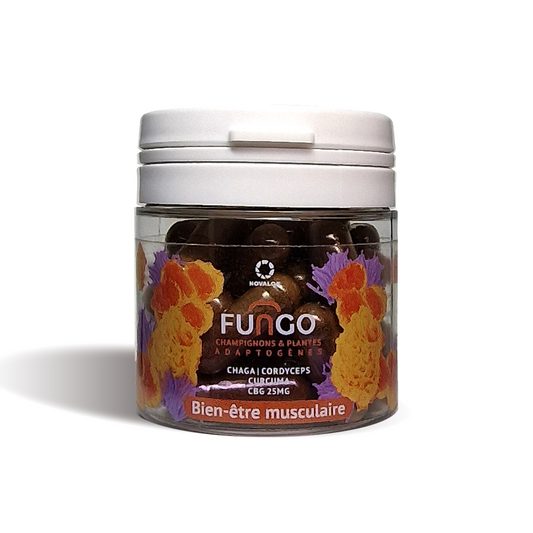 Bocal de compléments FUNGO NOVALOA à capsules, étiquette « Bien-être musculaire ».
