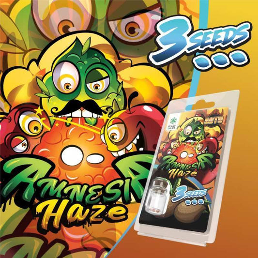Sachet de graines Amnesia Haze AUTO Plant of Life, 3 seeds, visuel cartoon