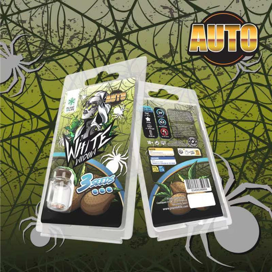 Deux emballages de graines AUTO White Widow avec 3 graines, étiquettes Plant of Life.