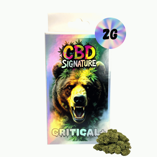 Pochette de fleurs de CBD 2 g CBD Signature Critical+, avec bourgeons visibles.