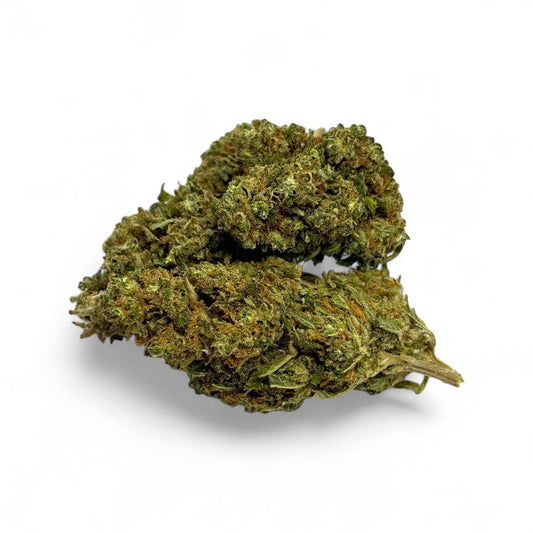 Fleur de CBD vert, bouquet rond de fleurs denses, feuilles séchées et tige courte