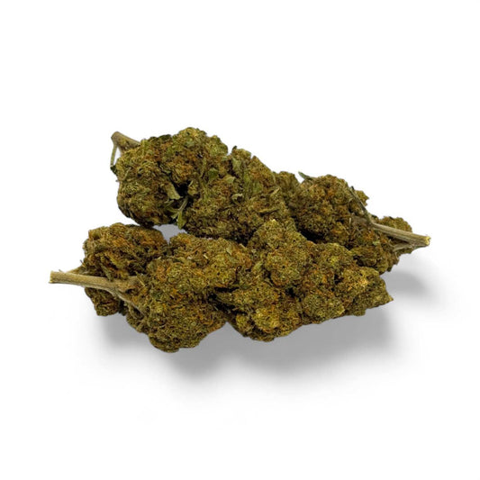 Fleurs de CBD vertes, mottes compactes et tiges fines visibles sur le dessus