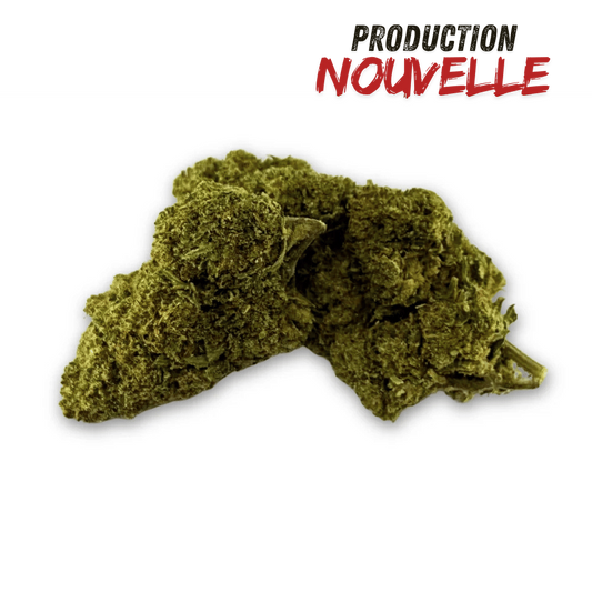 Fleurs de CBD vertes compactes, plusieurs buds texturés visibles