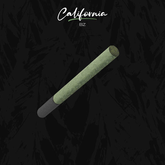 Bâton préroulé CBD de style cigare, couleur vert olive et extrémité sombre