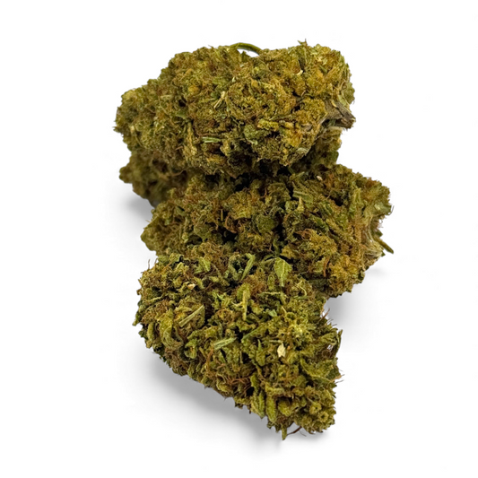 Fleur de CBD vert olive, gros bourgeon dense et ramifié