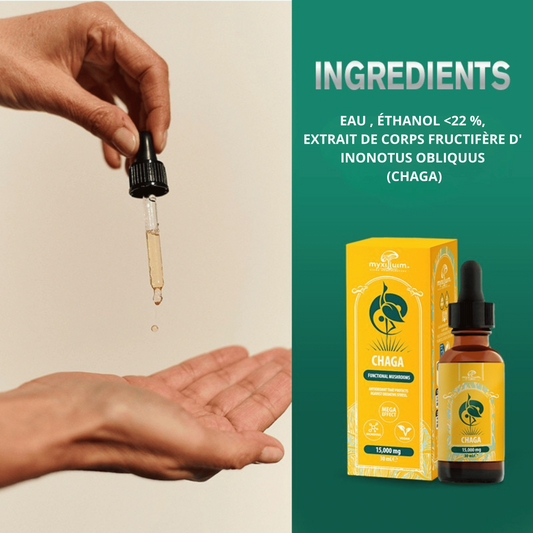 Flacon compte-gouttes d’extrait de chaga avec goutte, boîte jaune