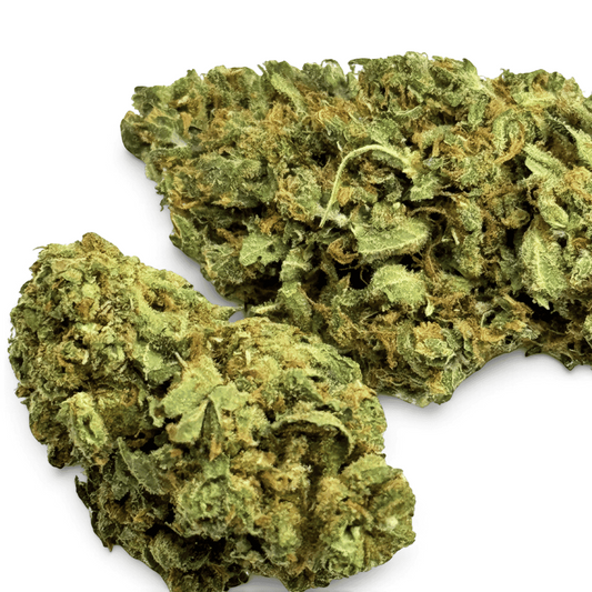 Fleurs de CBD vertes séchées, gros plan sur les têtes résineuses