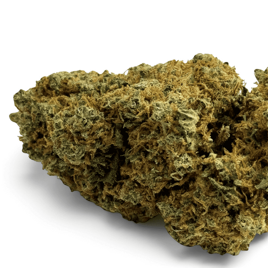 Fleur CBD indoor vert olive, gros bourgeons texturés