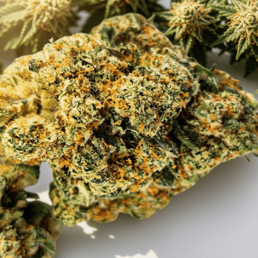 Fleur CBD en gros plan : texture dense, vert foncé, touches orangées et trichomes