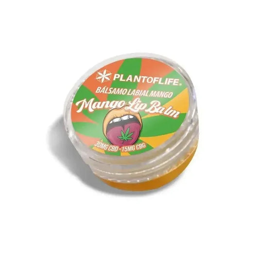 Baume Lèvres CBD & CBG Mangue Plant Of Life - Chris'Shop cbd