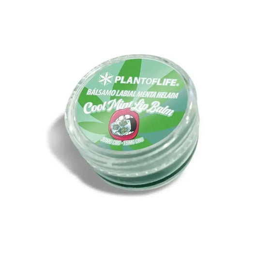 Baume Lèvres CBD & CBG Menthe Plant Of Life - Chris'Shop cbd