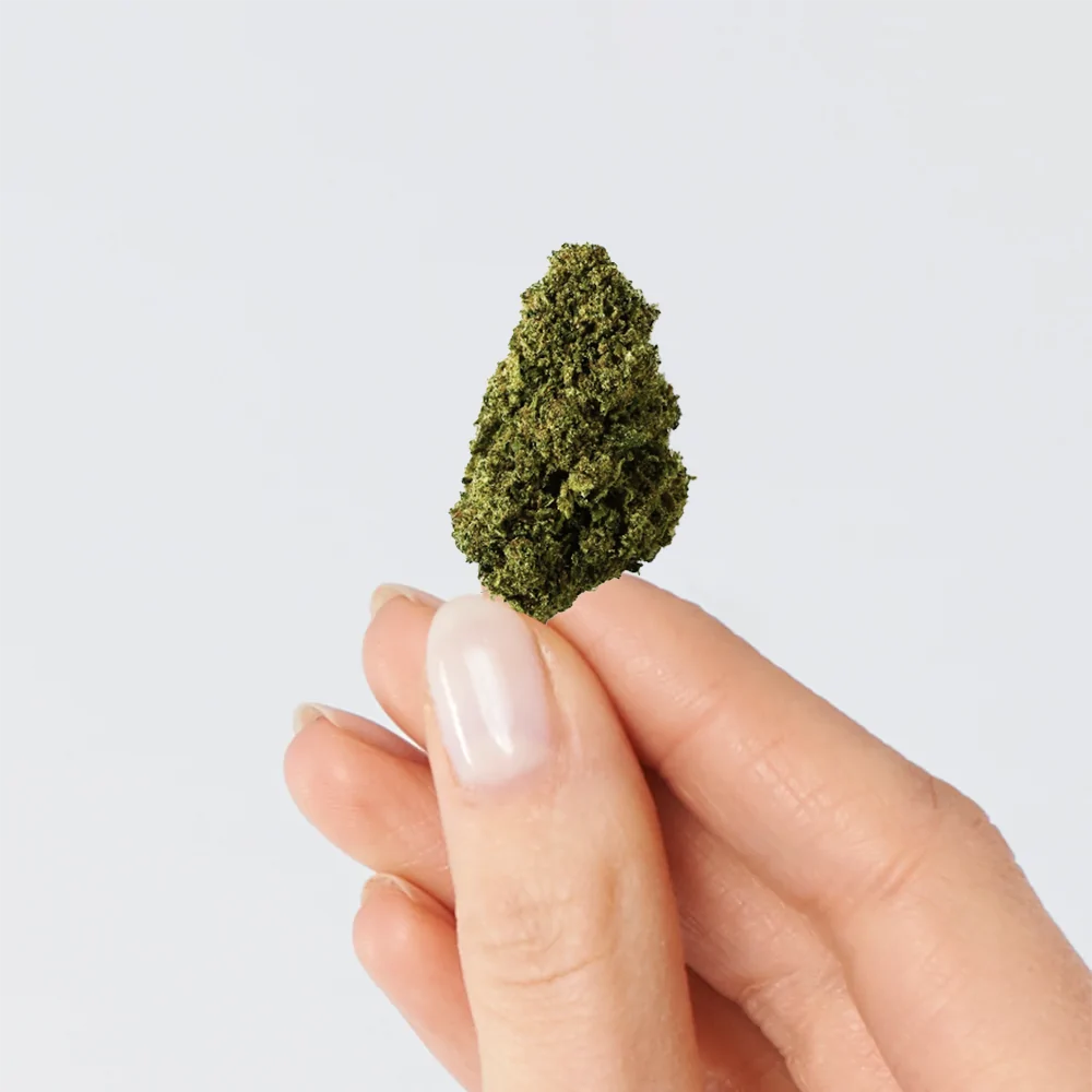 Fleur de CBD - Bubblegum