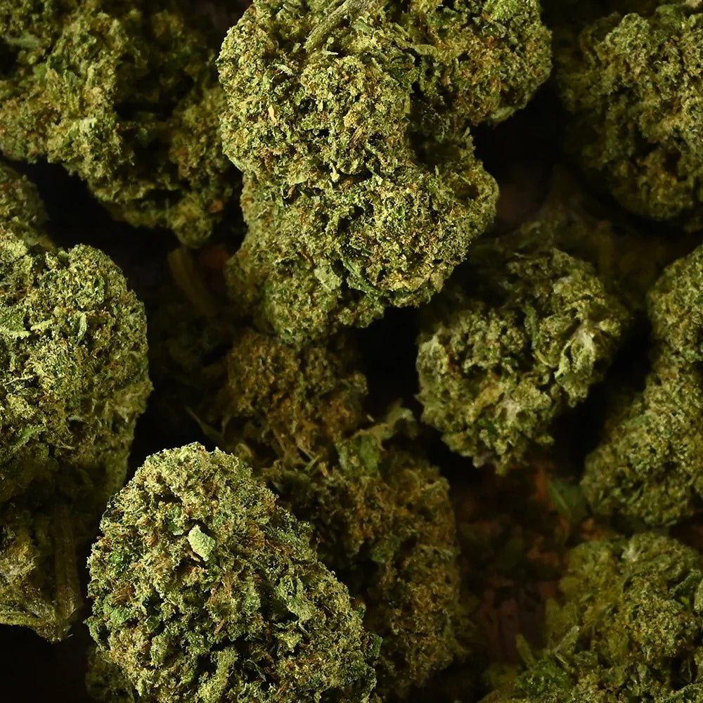 Fleur de CBD - Bubblegum - Chris'Shop cbd