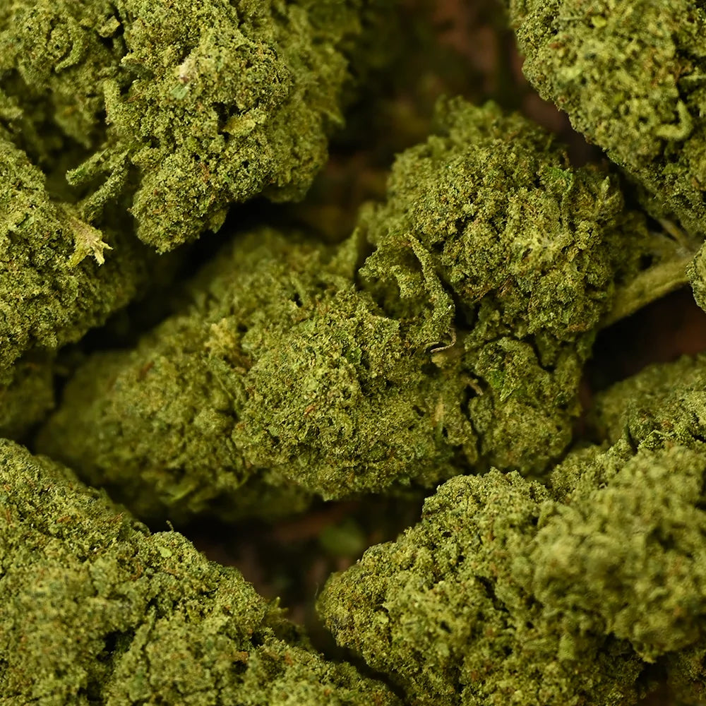 Fleur de CBD - BZ1 - Chris'Shop cbd