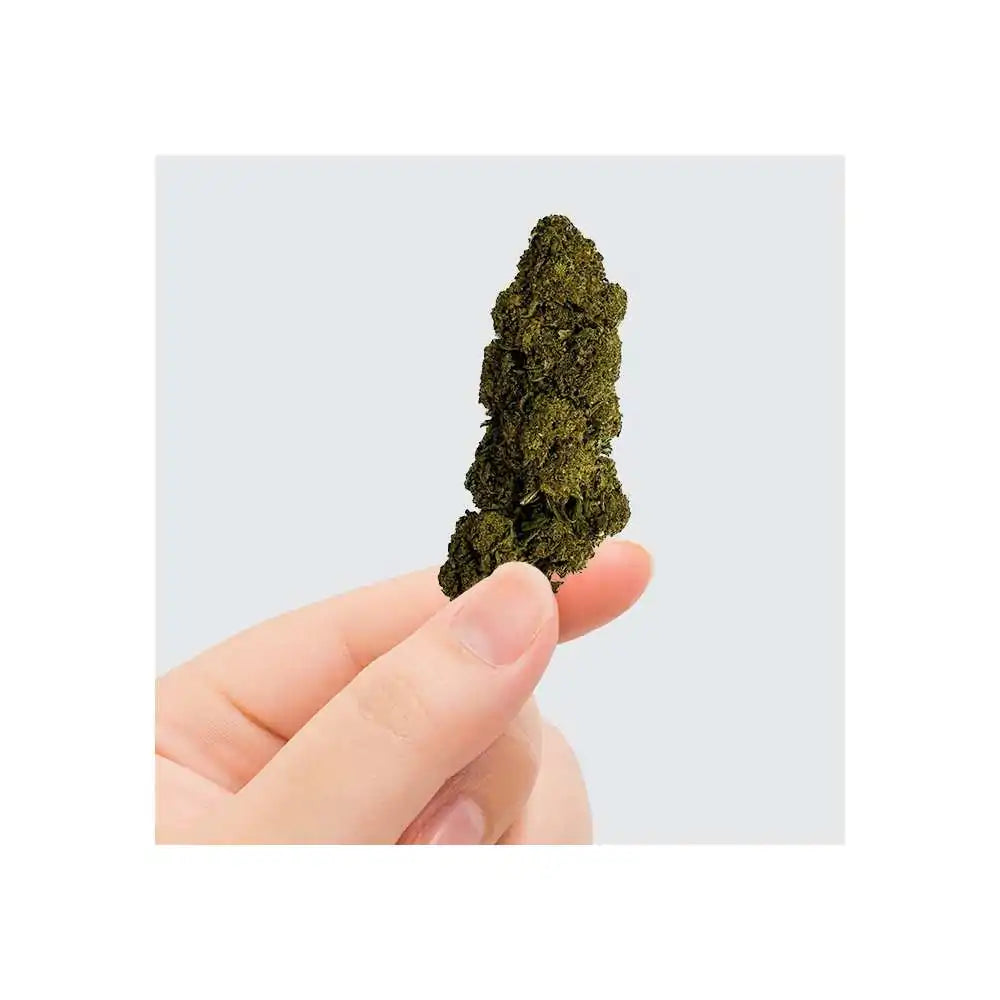 Fleur de CBD - Charlotte's Web