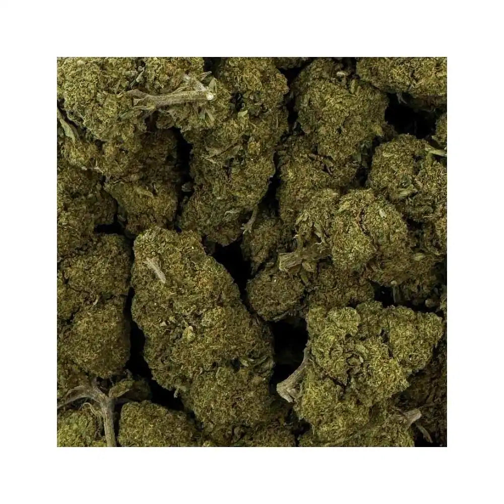 Fleur de CBD - Charlotte's Web - Chris'Shop cbd