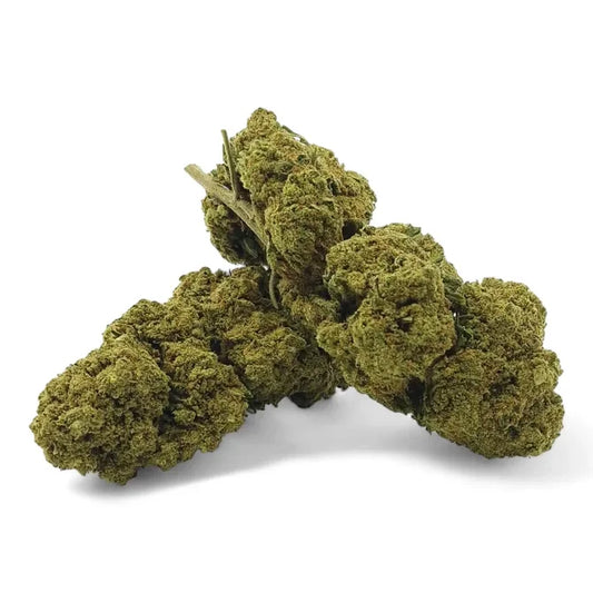 Fleur de CBD Harlequin Indoor Premium - Chris'Shop cbd