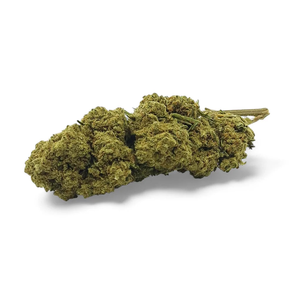 Fleur de CBD Harlequin Indoor Premium - Chris'Shop cbd