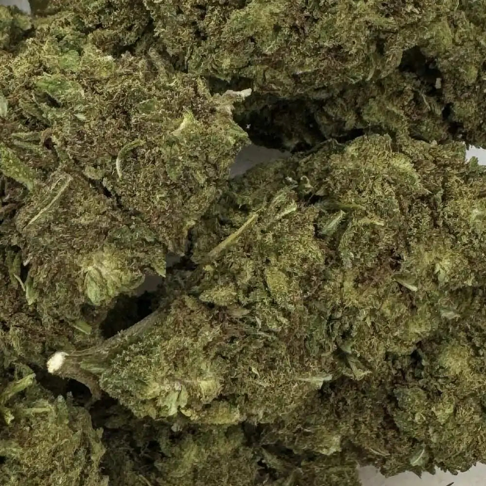 Fleur de CBD - Pink Lady Kush - Chris'Shop cbd