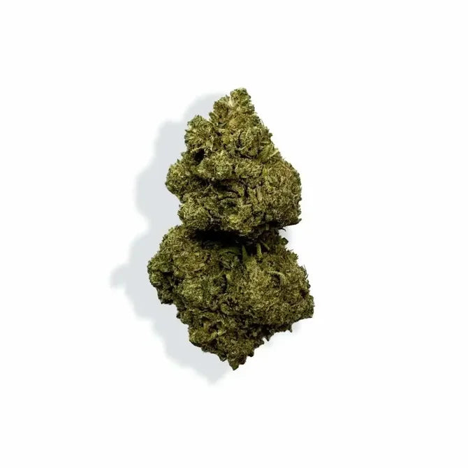 Fleur de CBD - Rainbow Kush - Chris'Shop cbd