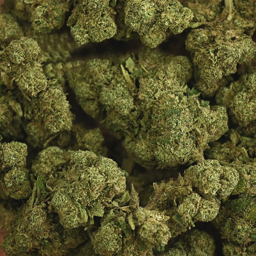 Fleur de CBD - Rainbow Kush - Chris'Shop cbd
