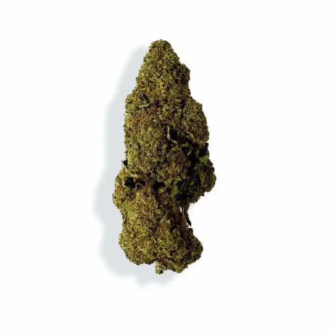 Fleur de CBD - Rasberry Haze - Chris'Shop cbd