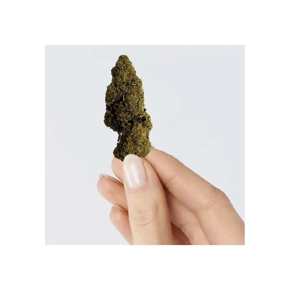 Fleur de CBD - Rasberry Haze
