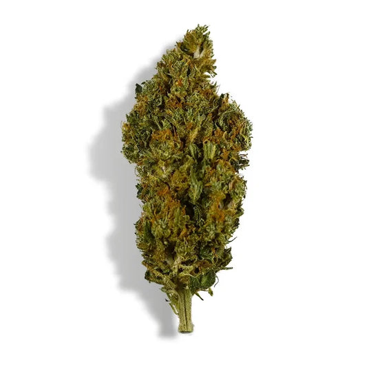 Fleur de CBD - Sherbet - Chris'Shop cbd