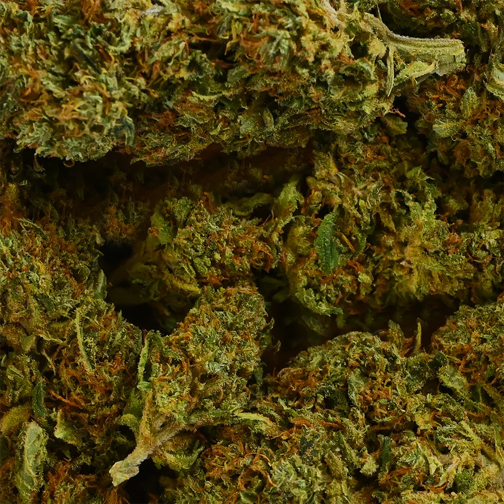 Fleur de CBD - Sherbet - Chris'Shop cbd