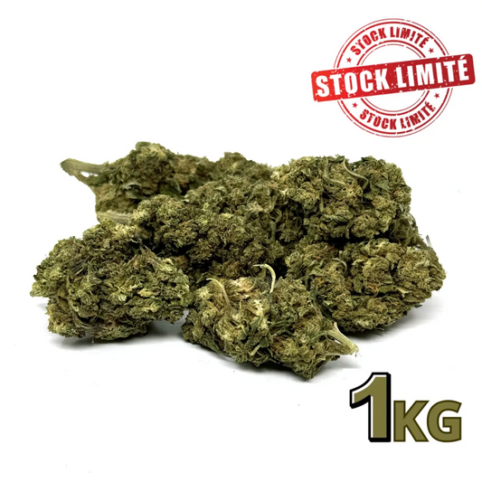 Fleur de CBD Silver Haze 1kg Premium - Chris'Shop cbd