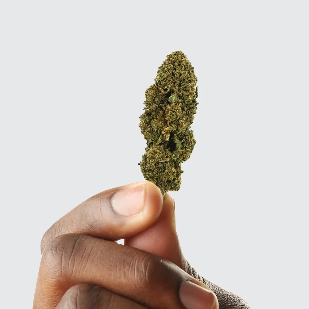 Fleur de CBD - White Dawg - Chris'Shop cbd