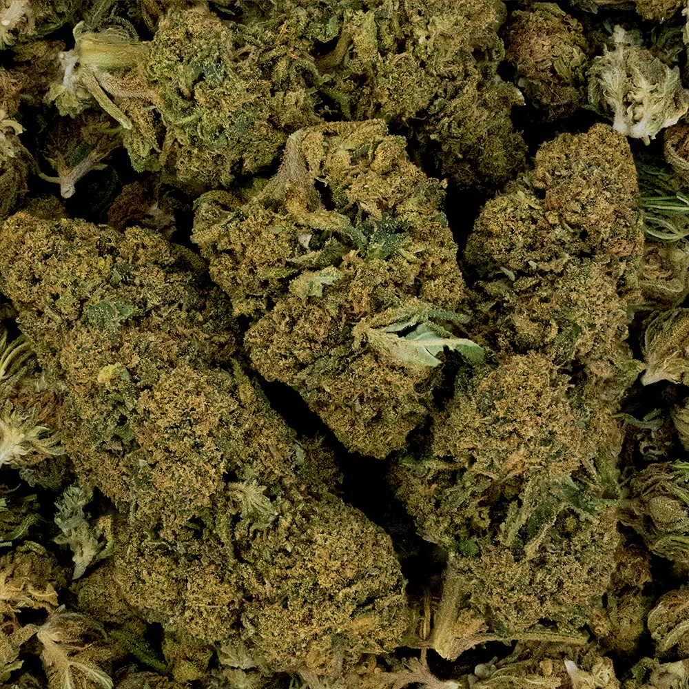 Fleur de CBD - White Dawg