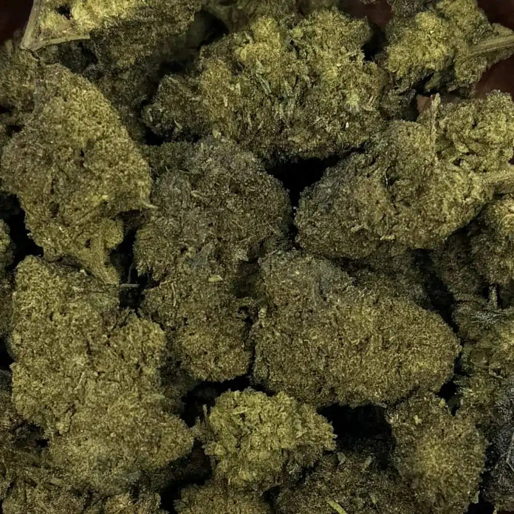Fleur de CBN/CBC - Gelato - Chris'Shop cbd