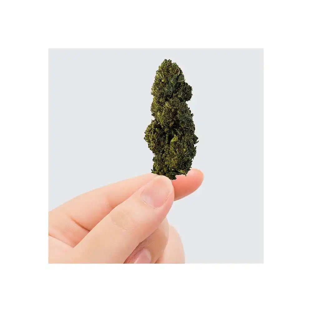 Fleur de CBN/CBC - Gelato