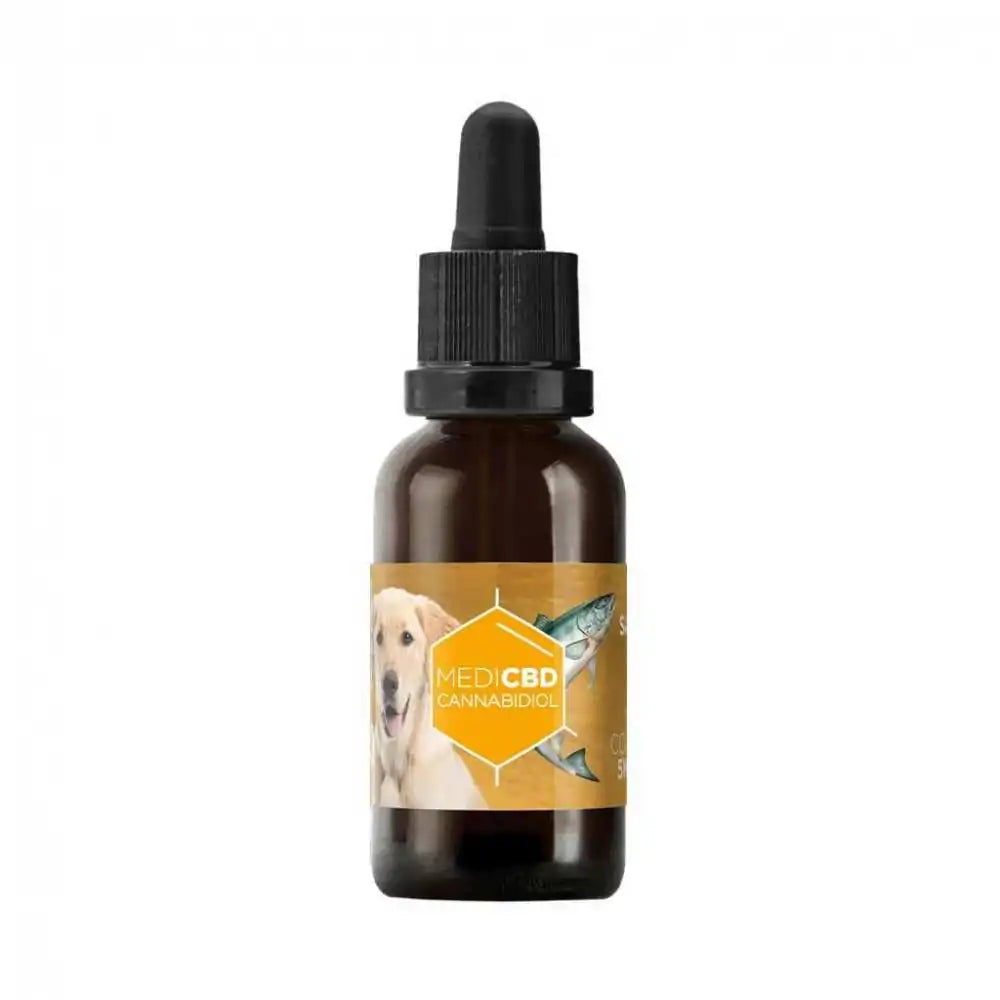 Huile CBD 10% Pour Chien MEDICBD
