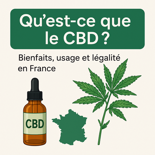 Qu'est-ce que le CBD ? Bienfaits, usage et légalité en France [Guide 2025]