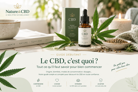 Guide du débutant CBD : par quoi commencer ?