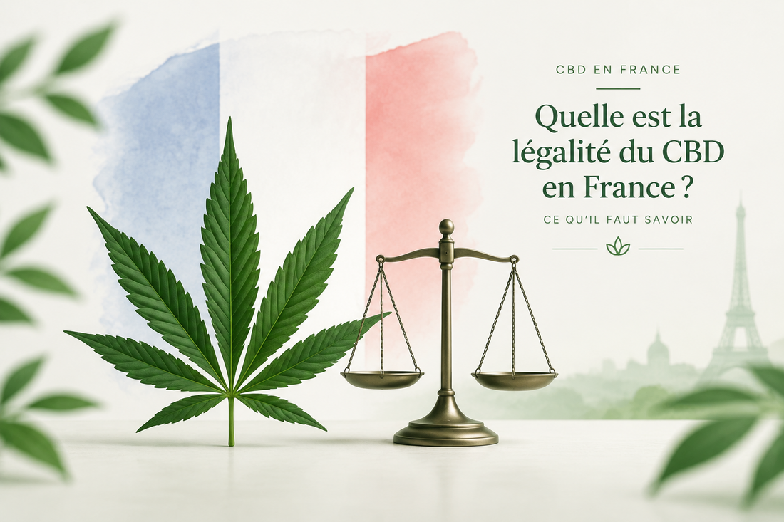 CBD légal en France : ce qu'il faut savoir