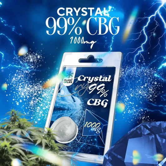 Blister de cristaux CBG 99% 1000 mg, Crystal, PLANT OF LIFE