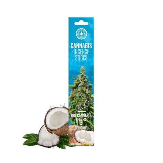Boîte de bâtons d’encens au cannabis avec noix de coco et feuilles